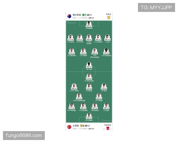 2026世界杯D组积分榜回顾：土耳其小组垫底出局